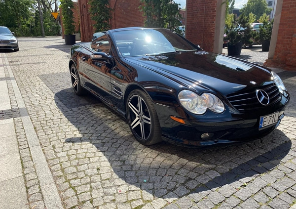 Mercedes-Benz SL cena 134000 przebieg: 145500, rok produkcji 2005 z Pabianice małe 106